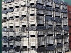 Casse pallet in plastica usate