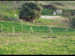 Terreno Agricolo