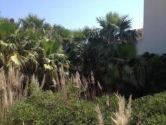 CASA IND. DI 577MQ + GIARDINO DI 1000MQ