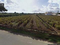 MARSALA TERRENO 0,10 DI 2500 MQ CON PROGETTO APPROV