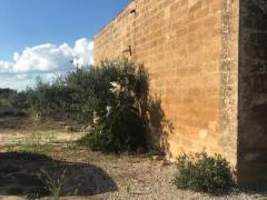 MARSALA CASA SEMINDIPENDENTE DI 110 MQ CON 1800 MQ DI TERRENO