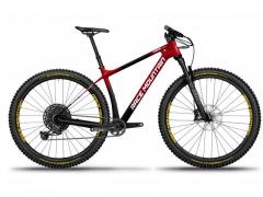 Race Mountain R29 Carbon - MTB Front in carbonio