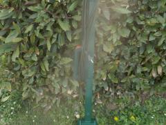 Vorwerk folletto battitappeto VTF 732