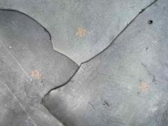 Stock Fianchi a vegetale colore nero