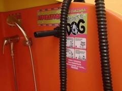 Lavaggio self service per cani