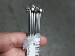 Raggi bici DT swiss 263mm