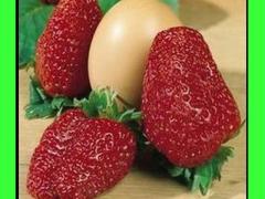 Fragola gigante