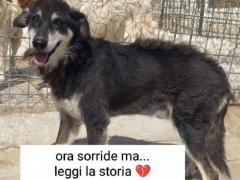 NOAH MASCHIO 12 ANNI 25 KG CIRCA TAGLIA MEDIA
