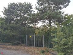 Fabbricato rurale con terreno coltivabile
