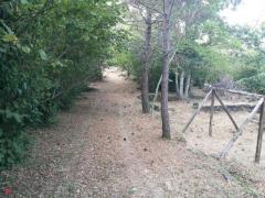 Fabbricato rurale con terreno coltivabile