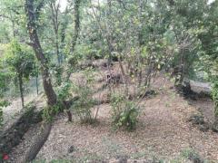 Fabbricato rurale con terreno coltivabile