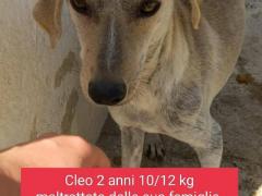 CLEO 2 ANNI TAGLIA PICCOLA SUI 10/12 KG