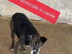 RIO 8 ANNI 5/6 KG