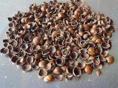 Gusci di  Nocciola e Cippato Scortecciato privi di impurità.