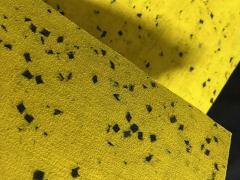 Lastra Microporosa espansa  per calzatura Gialla
