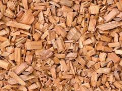 Cippato scortecciato e nocciole per caldaie.