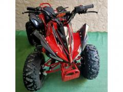 QUAD MONSTER R8
