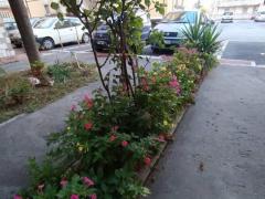 QUADRILOCALE CON POSTO AUTO