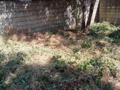 Rustico e terreno