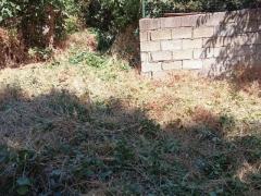 Rustico e terreno