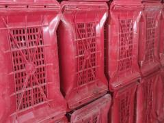Cassette in plastica ortofrutta come nuove