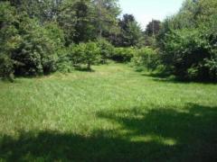 Tra Orta Omegna Gozzano affitto appartamento casa rustica campagna con terreno 4.950 mq