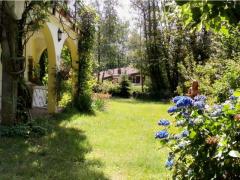 Tra Orta Omegna Gozzano affitto appartamento casa rustica campagna con terreno 4.950 mq