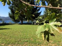 Tra Orta Omegna Gozzano affitto appartamento casa rustica campagna con terreno 4.950 mq