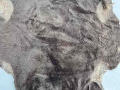 Pelle di shearling tabacco – SH18