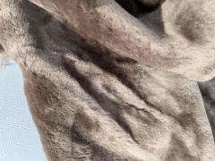 Pelle di shearling colore visone  – H5