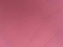 Spalla vegetale colore Fucsia
