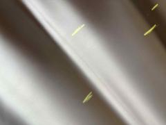 Pellame di vitello segnato da matita
