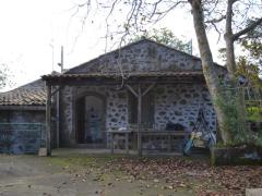 Villetta rustica con noccioleto