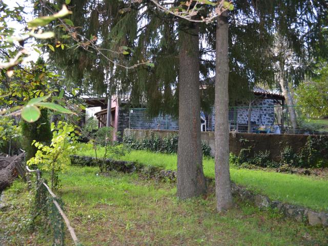 Villetta rustica con noccioleto - 3/8