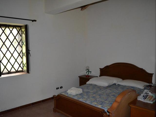 Villetta rustica con noccioleto - 5/8