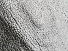 Pelle martellata bottalata testa di moro