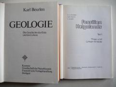 6 Libri geologia minerali fossili rocce in tedesco stock