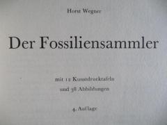 Geologie 6 Buch Bücher auf Deutsch Fossilien stock