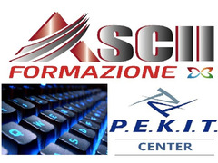 PEKIT EXPERT