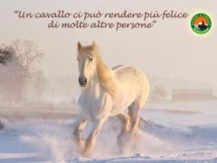 Pensione per il tuo cavallo
