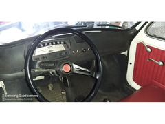 A Collezionisti Fiat 500 f del 1966