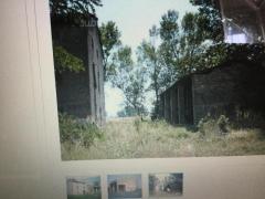 Vendo rustico sito tra Soragna e roncole Verdi ampio lotto terreno di edificabile 4000 metri quadrat