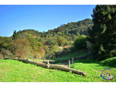 PENSIONE CAVALLI E PONY - La Valle del Bò