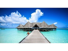 Consulente Viaggi
