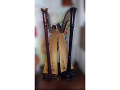 Musica con Arpa per il Matrimonio