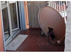 Parabola per decoder satellitare con supporto per montarla sul balcone