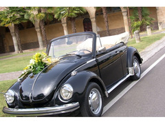 NOLEGGIO MAGGIOLONE PER MATRIMONI